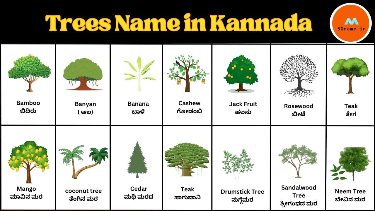 50 Trees Name in Kannada| ಕನ್ನಡದಲ್ಲಿ 50 ಮರಗಳ ಹೆಸರು