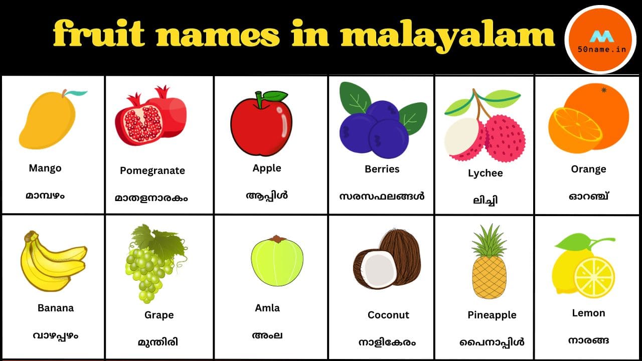 50 fruit names in malayalam