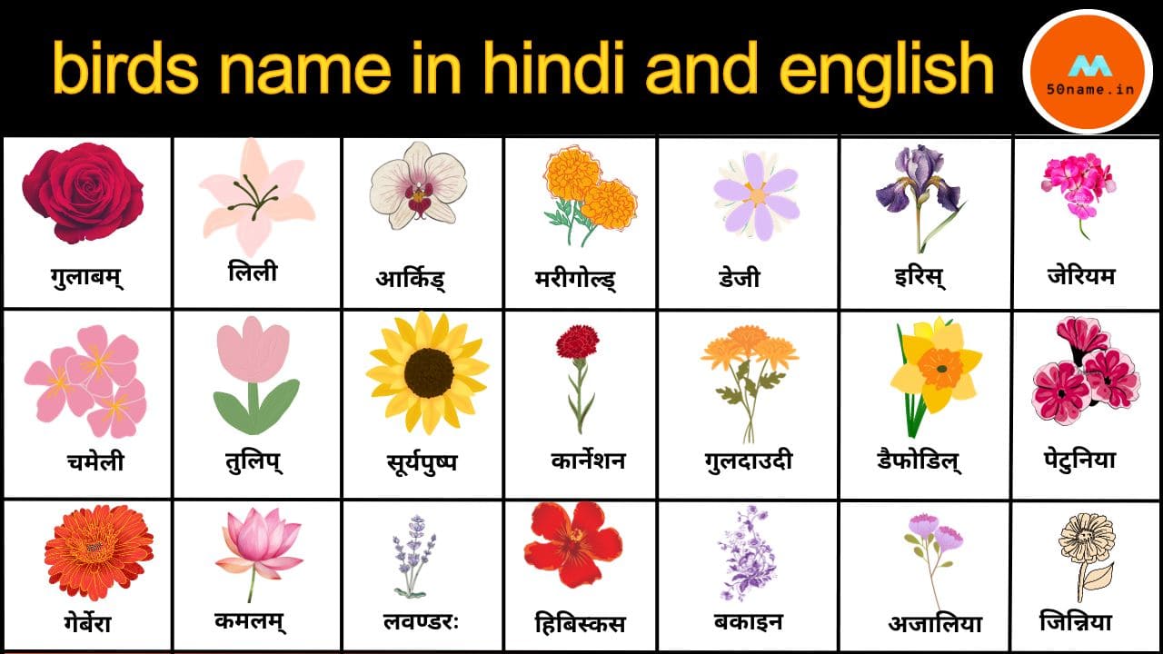 50 flowers name in sanskrit |What is the Sanskrit name of flowers?