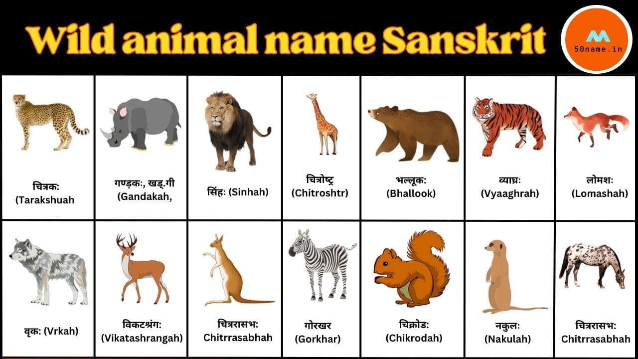 50 Wild animal name Sanskrit| जानवरों के नाम संस्कृत में