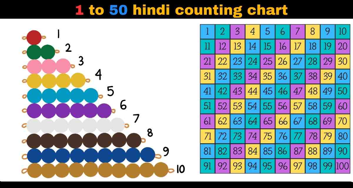 1 to 50 hindi counting chart