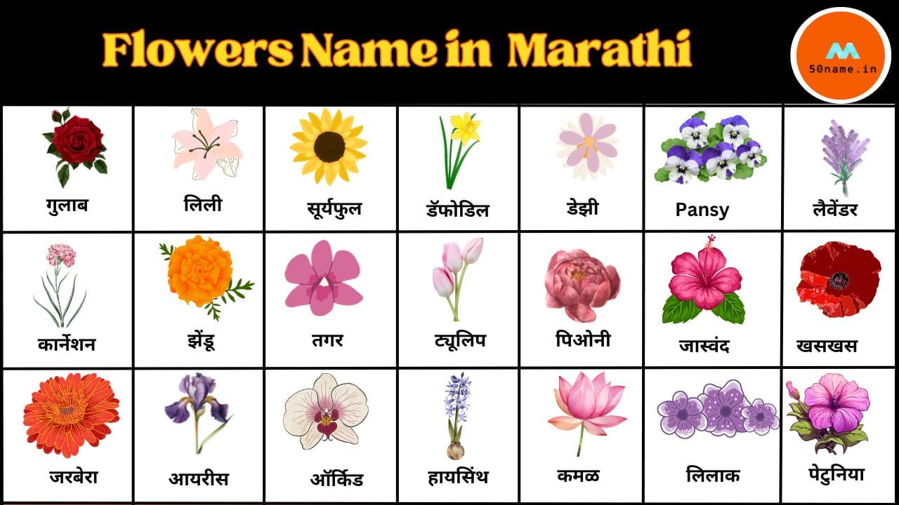 50+Flowers Name in English to Marathi|फुलांची मराठी नावे